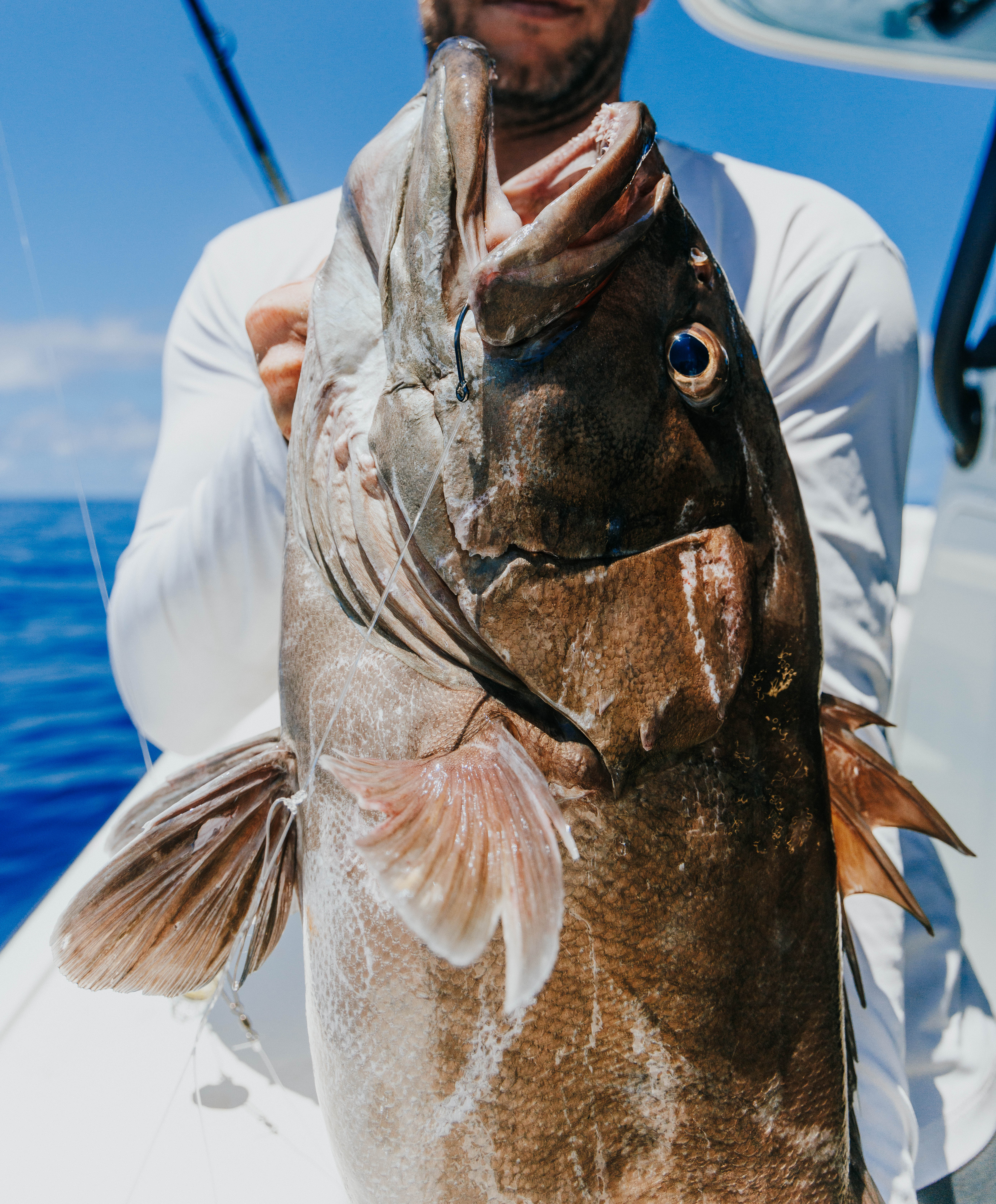 Offshore fishing action shot — sport fishing brand photography by kyff Outdoors