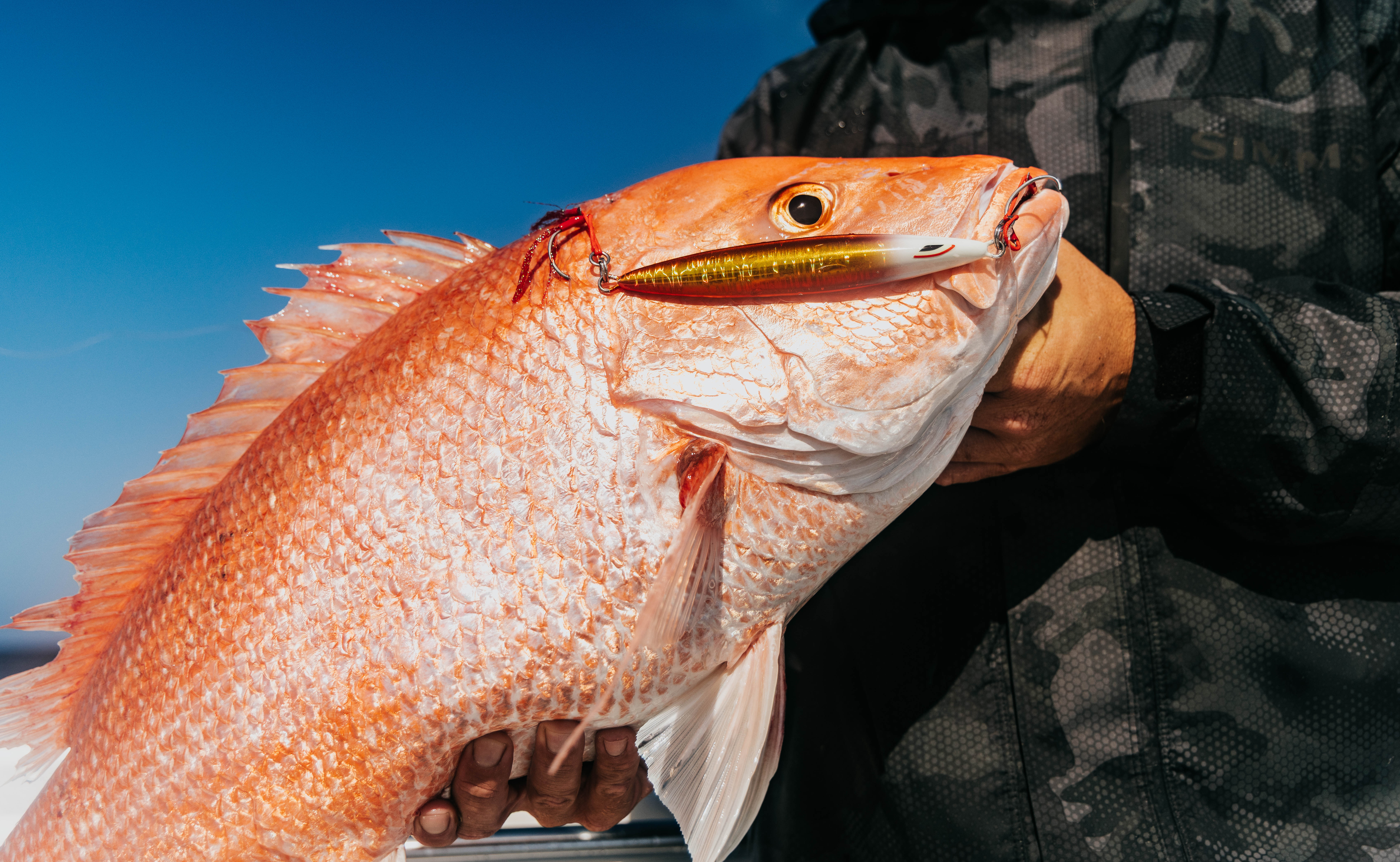 Close-up red snapper with fishing lure — outdoor product photography by kyff Outdoors